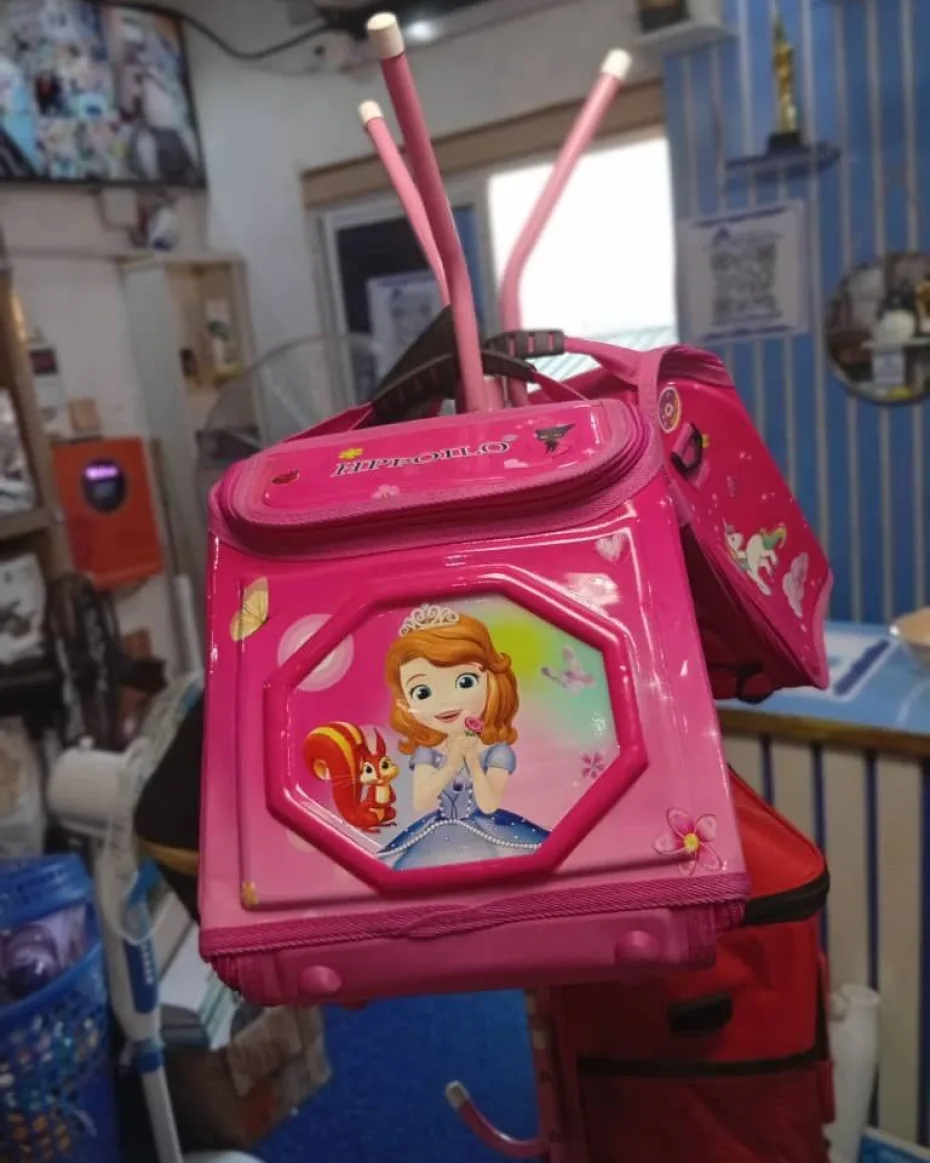 Lunch Bag (Pink and Blue)