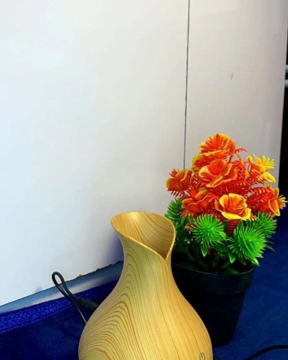Holdmay Diffuser | Almubaarak Variety Mall
