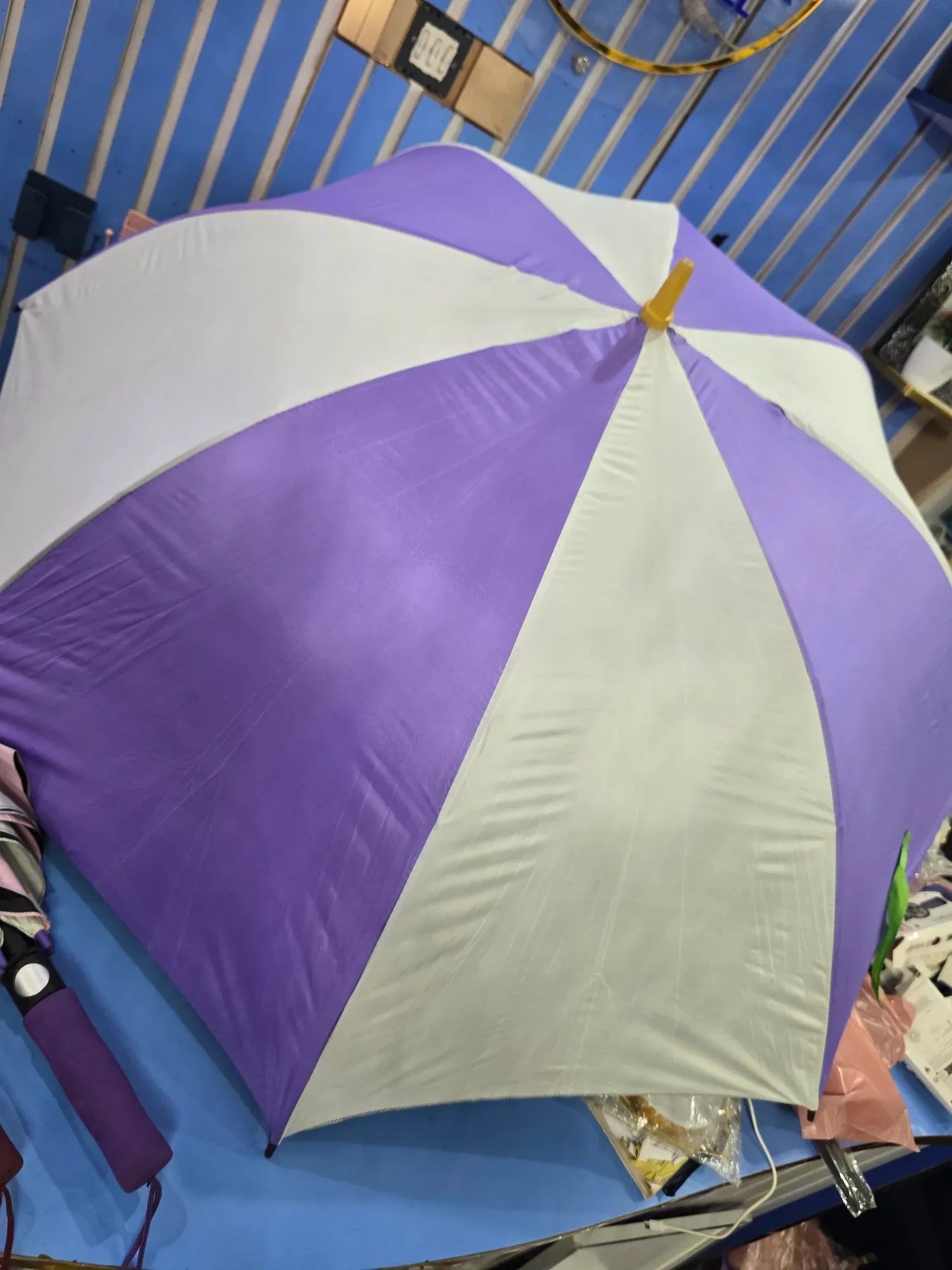 Pure rain Umbrella